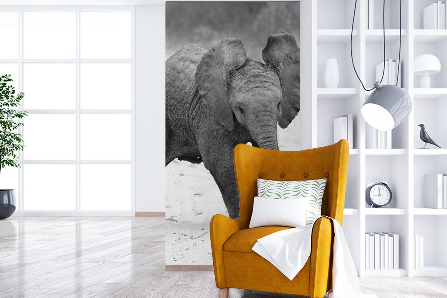 - St), - weiß, Schlafzimmer Matt, - MuchoWow Wohnzimmer Schwarz und Fototapete Elefant Kröte Baby Fototapete - Küche, für Tiere bedruckt, (2 Vliestapete