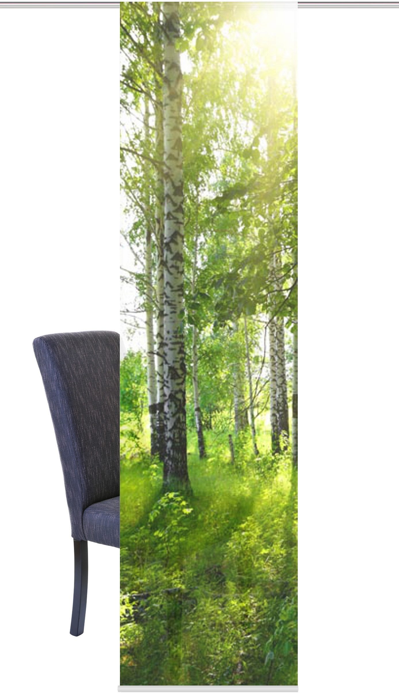 HOME Wohnideen Schiebevorhang   ¦ grün ¦ Maße (cm): B: 60 H: 245 Gardinen & günstig online kaufen