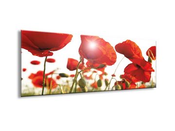 artissimo Glasbild Glasbild 80x30cm Bild aus Glas Blumen Mohn Mohnfeld rot, Blumen-Wiese: roter Klatschmohn