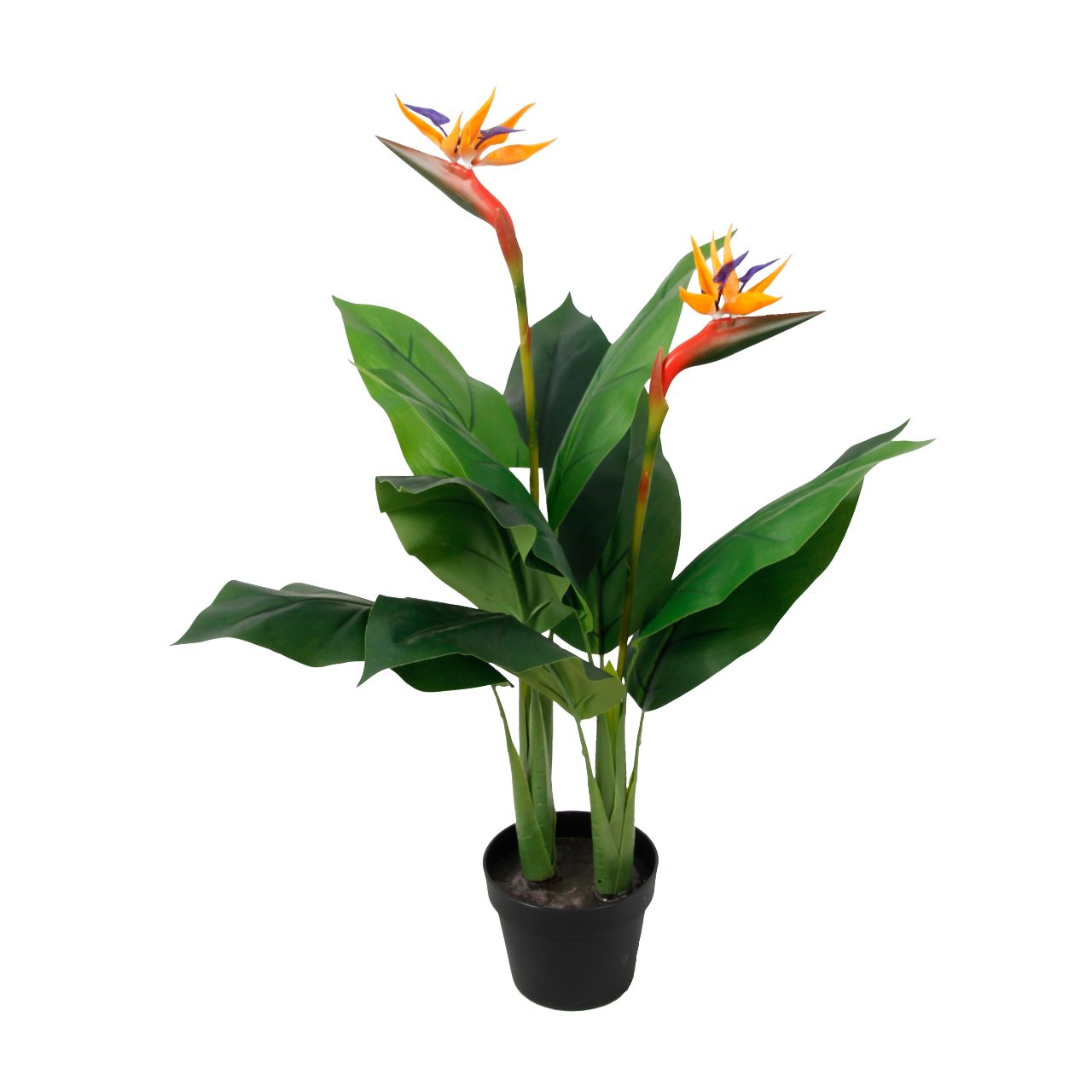 Kunstpflanze Strelitzie mit Blüte, Paradiesvogelblume, Kunstpflanze, günstig online kaufen