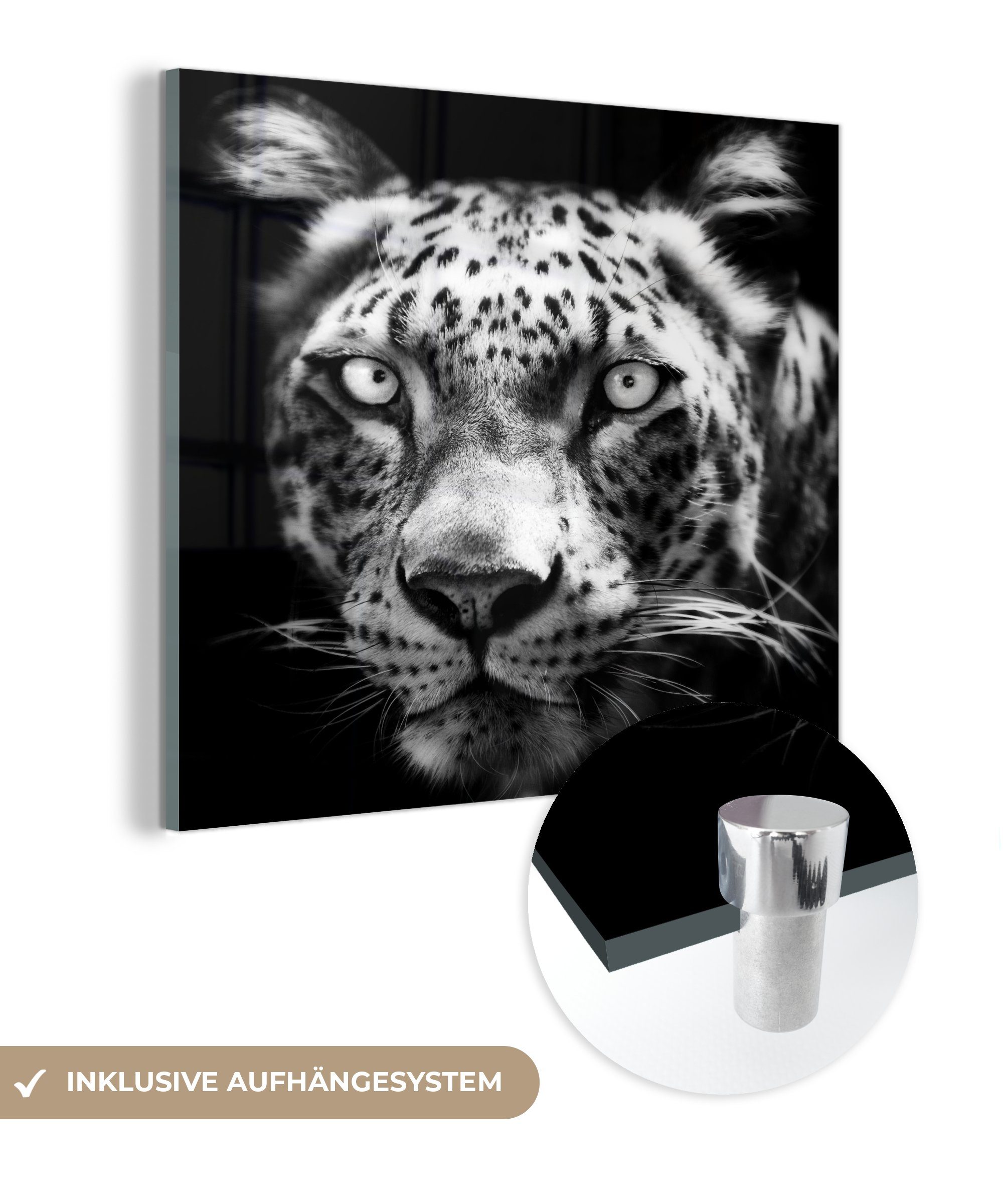 MuchoWow Acrylglasbild Nahaufnahme Persischer Leopard vor schwarzem Hintergrund in Schwarz, (1 St), Glasbilder - Bilder auf Glas Wandbild - Foto auf Glas - Wanddekoration