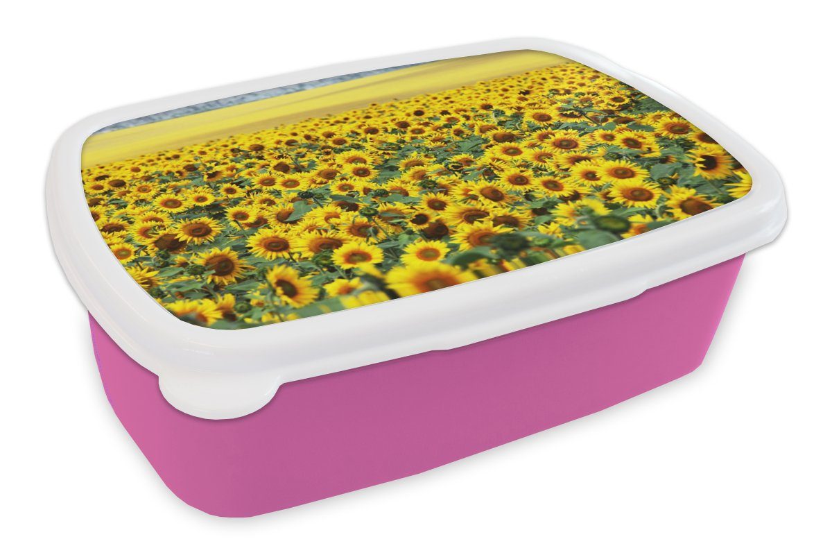 MuchoWow Lunchbox Sonnenblume - Blumen - Natur, Kunststoff, (2-tlg), Brotbox für Erwachsene, Brotdose Kinder, Snackbox, Mädchen, Kunststoff rosa