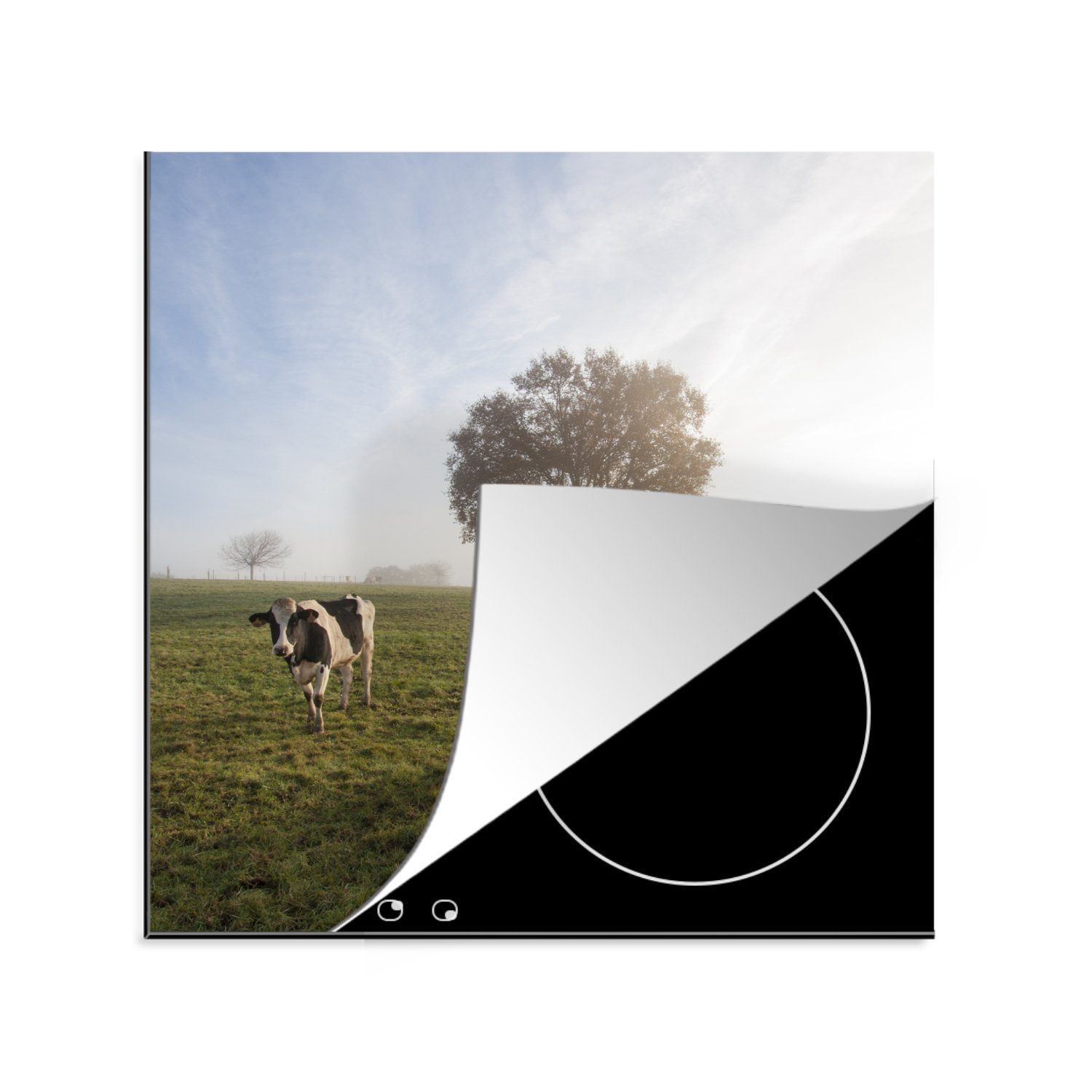 MuchoWow Herdblende-/Abdeckplatte Kühe - Licht - Nebel, Vinyl, (1 tlg), 78x78 cm, Ceranfeldabdeckung, Arbeitsplatte für küche