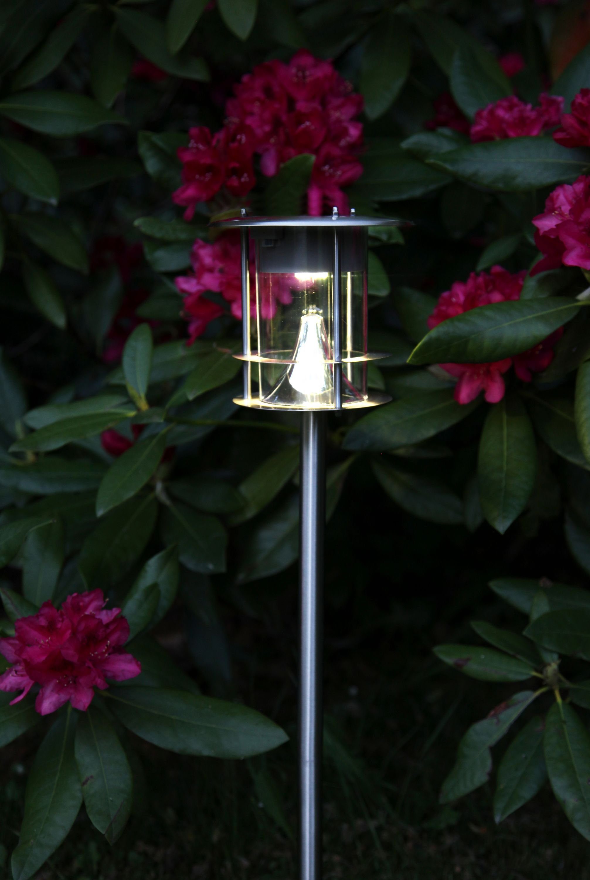 STAR TRADING LED Solarleuchte Solarlampe Edelstahl, günstig online kaufen