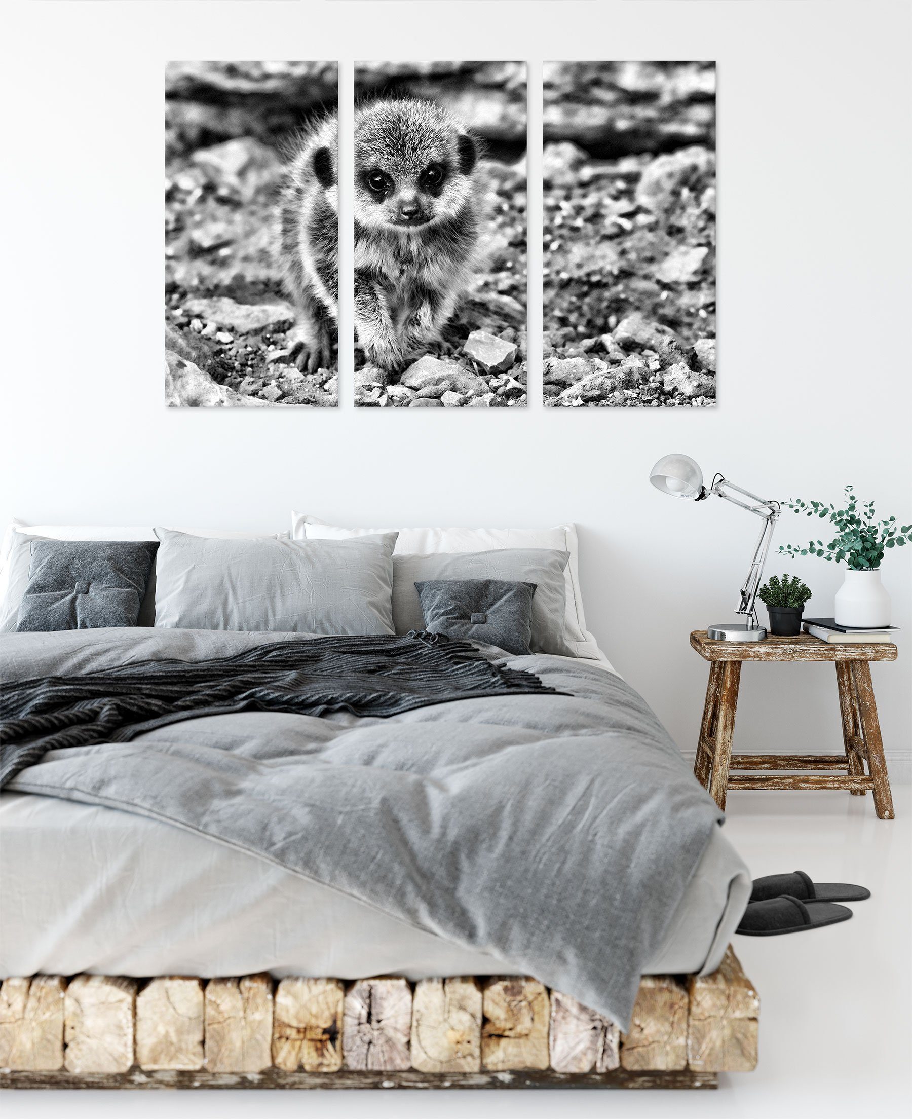 Leinwandbild Erdmännchen bespannt, (1 Steinen Erdmännchen St), Steinen, (120x80cm) inkl. Zackenaufhänger 3Teiler Pixxprint zwischen Leinwandbild fertig zwischen