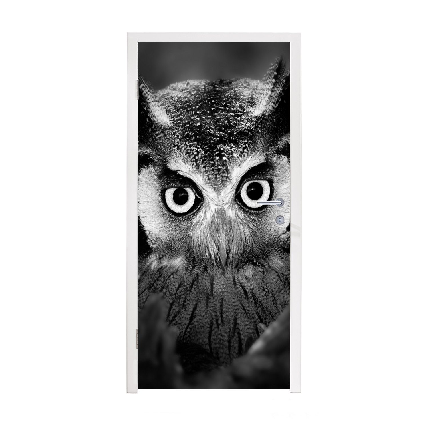 MuchoWow Türtapete Vogel - Eule - Porträt - Schwarz - Weiß, Matt, bedruckt, (1 St), Fototapete für Tür, Türaufkleber, 75x205 cm