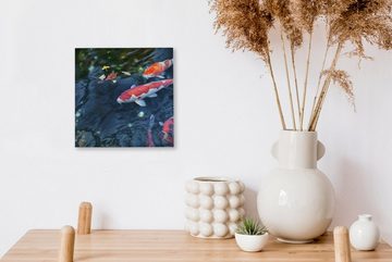 OneMillionCanvasses® Leinwandbild Vier Koi-Karpfen in einem Teich, (1 St), Leinwand Bilder für Wohnzimmer Schlafzimmer