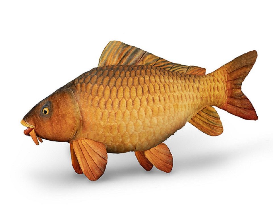 Delphin.sk Angelschirm Plüschtier Karpfen oder Hecht 60cm - Kuschel - Deko - Kissen - Angeln