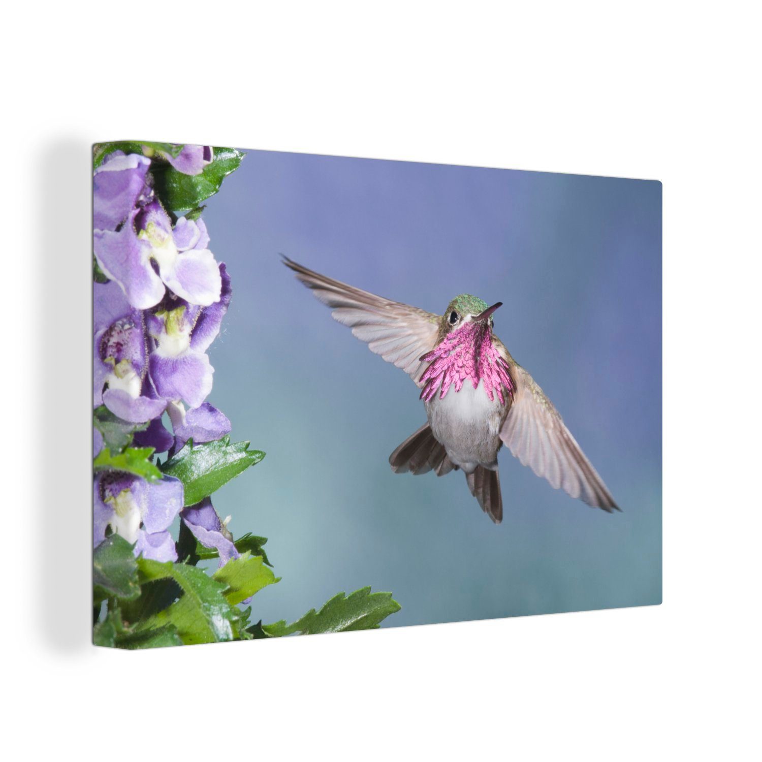 OneMillionCanvasses® Leinwandbild Kolibri - Blumen - Himmel, (1 St), Wandbild Leinwandbilder, Aufhängefertig, Wanddeko, 30x20 cm