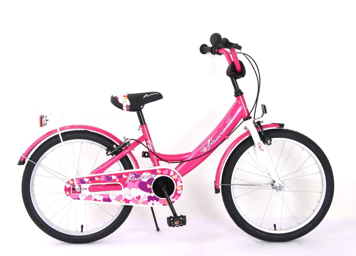 T&Y Trade Kinderfahrrad 20 Zoll Kinder Mädchen City Fahrrad Bike Rad Kinderfahrrad PASSIO Pink, 1 Gang, Gepäckträger, Seitenständer, Schutzbleche
