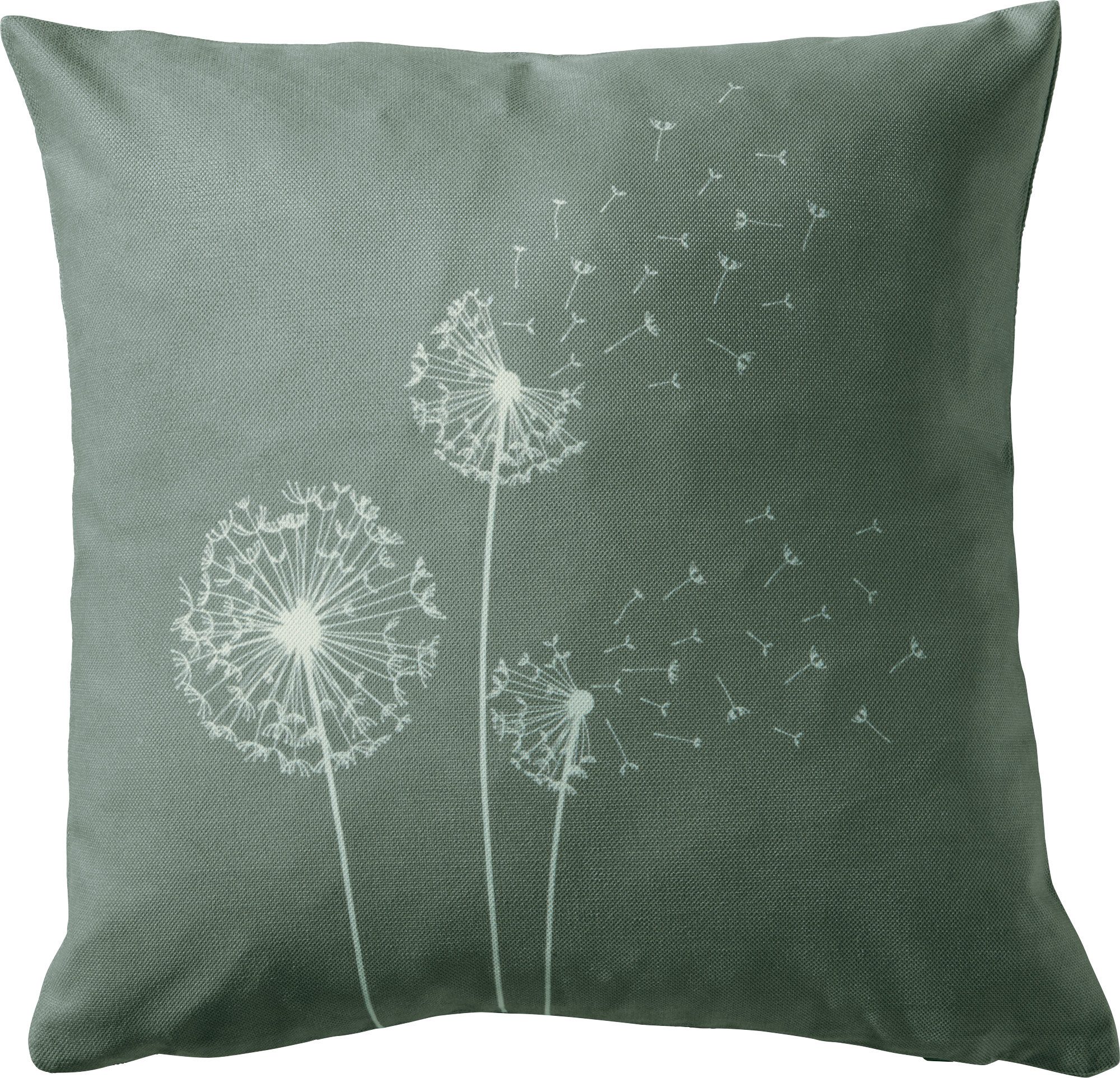 Erwin Müller Kissenbezug Kissenhülle "Pusteblume", Blumen günstig online kaufen