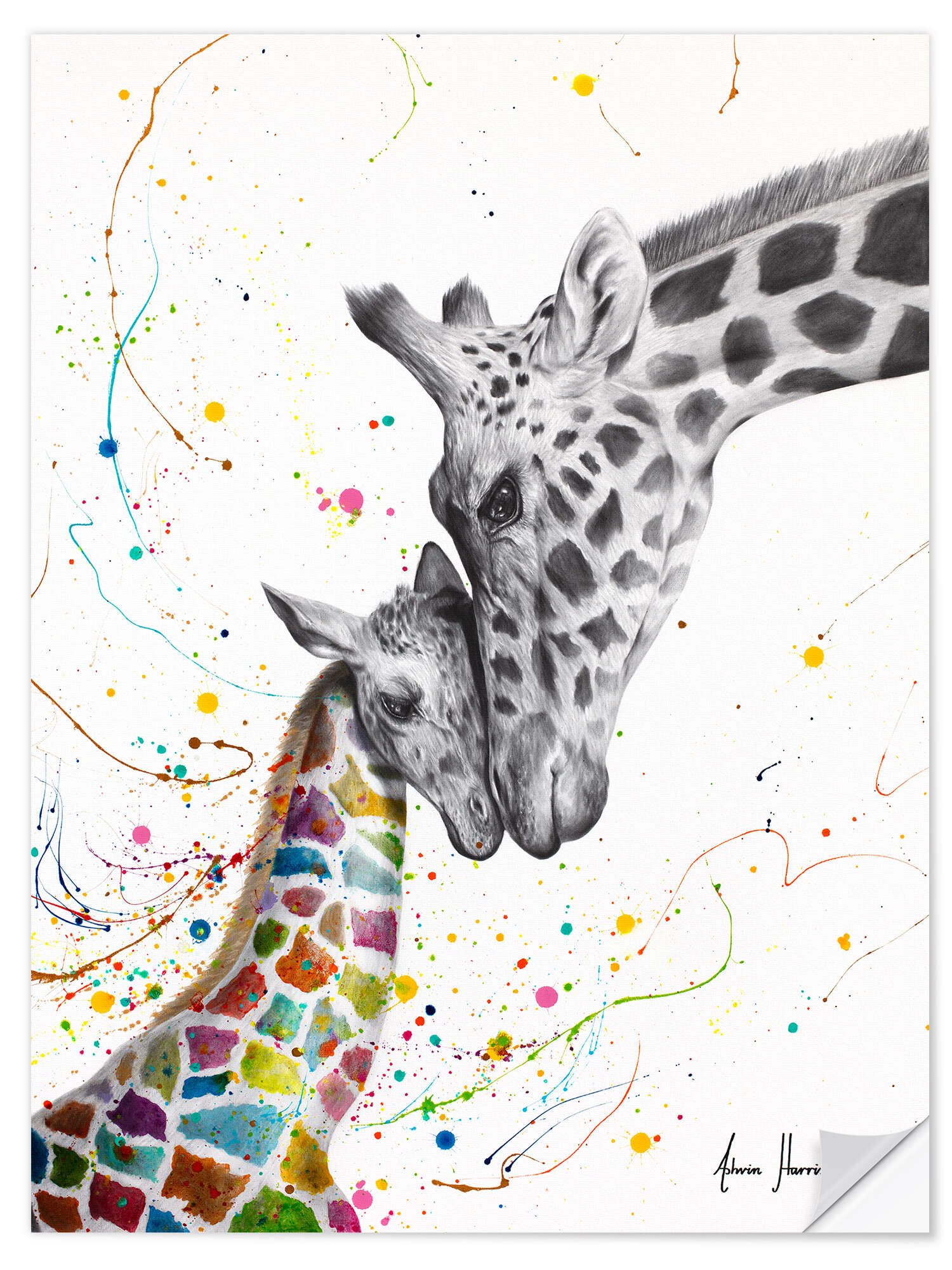 Wandfolie Ashvin Harrison