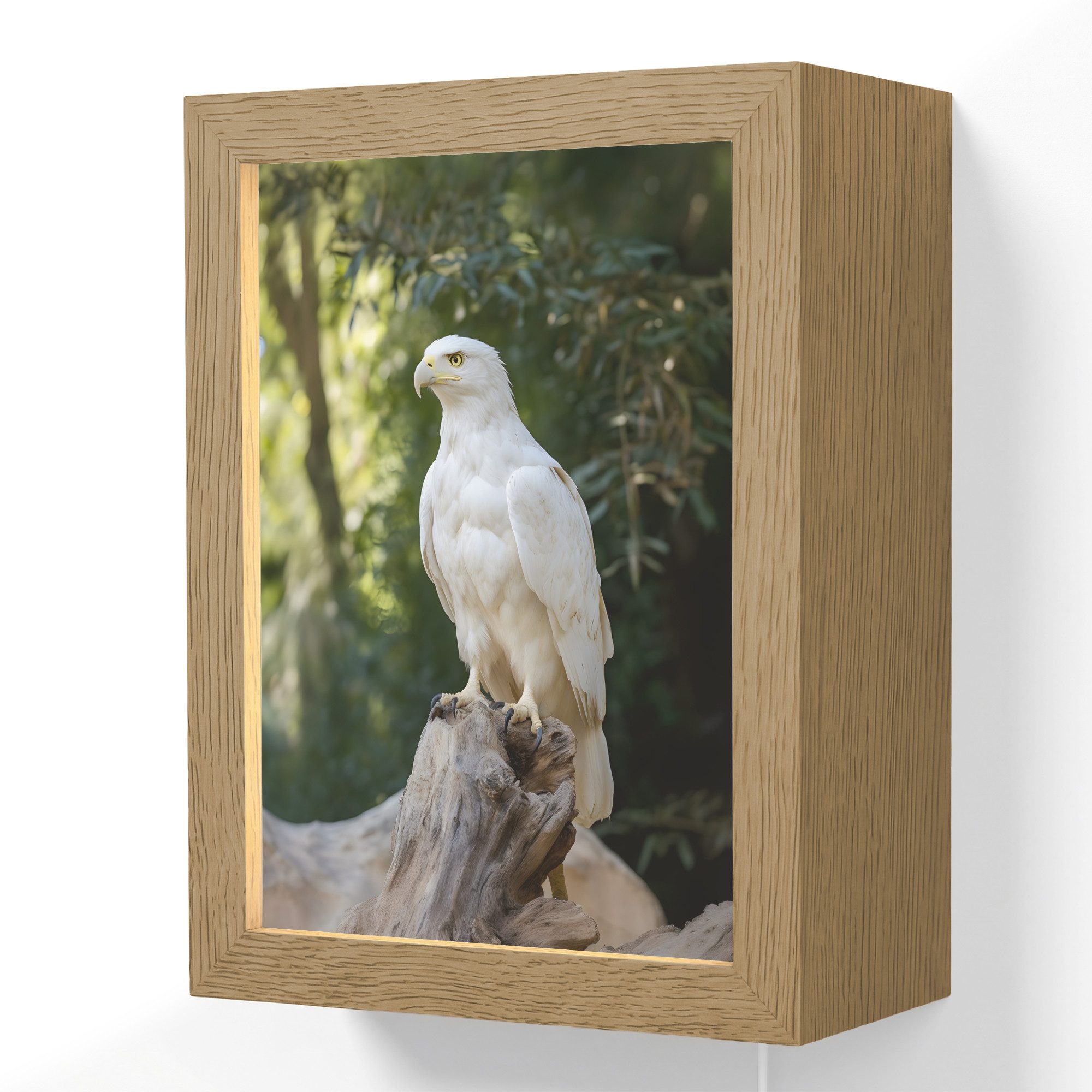 OnlyWow Wandleuchte Lightbox Adler - Holz - Weiß - Pflanzen, Dimmbar, Farbwechsel, LED, Warmweiß, Kaltweiß, Neutralweiß Einstellbar, Wandlampe Innen, Dimmbar, mit Kabel, LED, Beleuchtung, Wohnzimmer