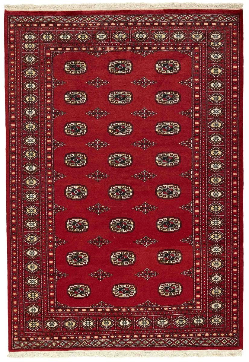 Orientteppich Pakistan Buchara 2ply 169x244 Handgeknüpfter Orientteppich, Nain Trading, rechteckig, Höhe: 8 mm