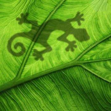 Wallario Möbelfolie Gecko Schatten auf grünem Blatt - Umriss
