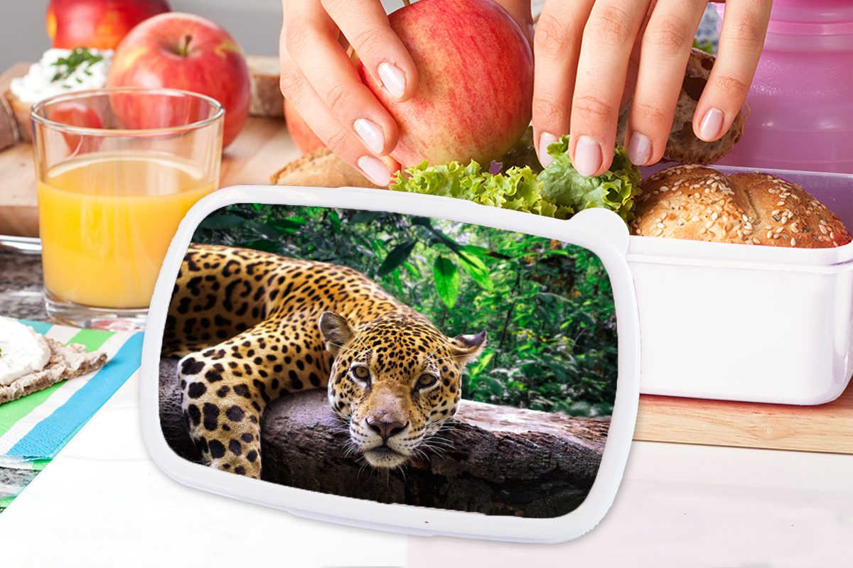 MuchoWow Lunchbox Jaguar und und Jungs ruht, Mädchen Brotbox für Kinder für Erwachsene, Brotdose, weiß Kunststoff, (2-tlg)