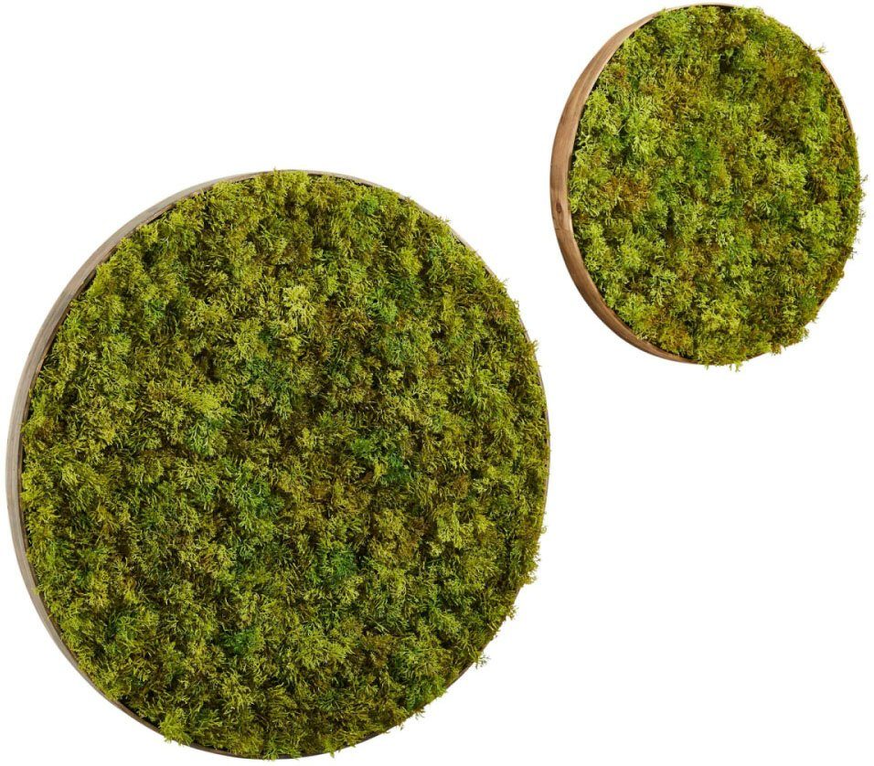 Schneider Wanddekoobjekt (Set, 2 Stück), rund, Moos-Optik-Otto