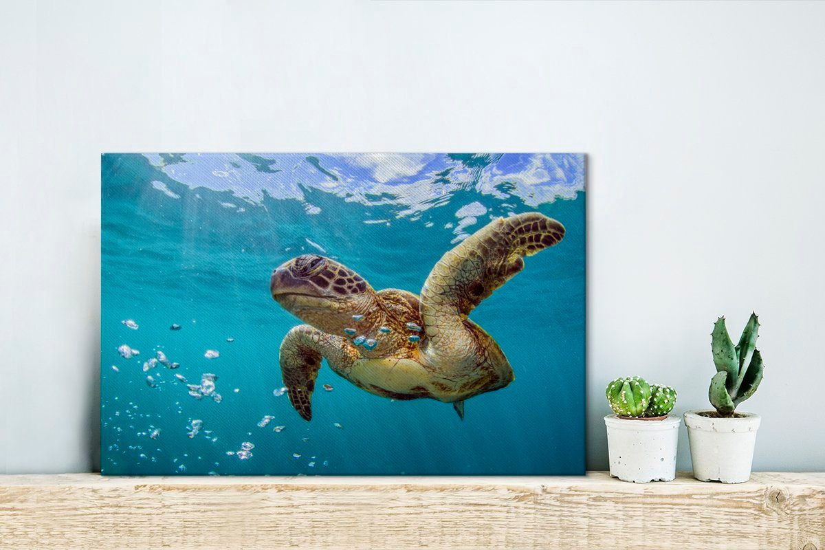Leinwandbild Wandbild 30x20 Eine von cm Aufhängefertig, umgeben Leinwandbilder, (1 OneMillionCanvasses® Meeresschildkröte Blasen, St), Wanddeko,
