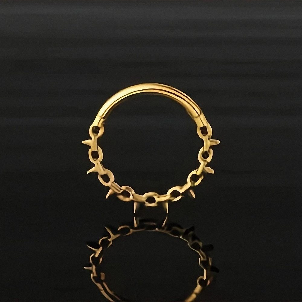 Taffstyle Nasenpiercing Septum Nasen Piercing Clicker Segment Ohr Daith Helix Ring Spike Kette (Nasenpiercing Nasenring Nase Ohrpiercing Cartilage Ohr Tragus Helix Orbital Intim Piercing Ring Lippenpiercing), mit Scharnier