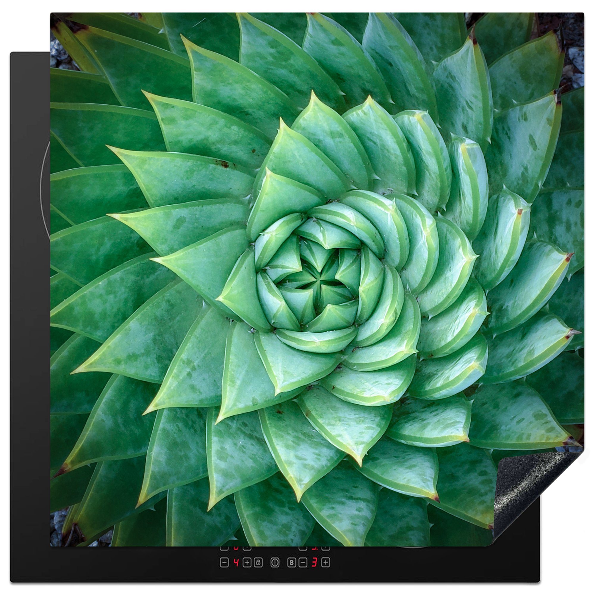 MuchoWow Herdblende-/Abdeckplatte Grüne Aloe-Spirale, Vinyl, (1 tlg), 78x78 cm, Ceranfeldabdeckung, Arbeitsplatte für küche | Herdabdeckplatten