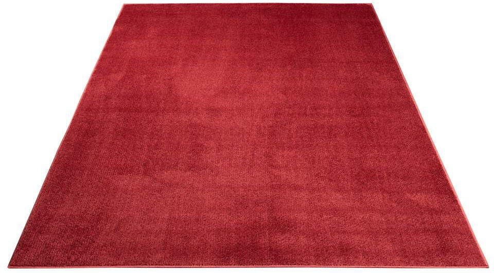 Carpet City Teppich Softshine 2236, rechteckig, günstig online kaufen