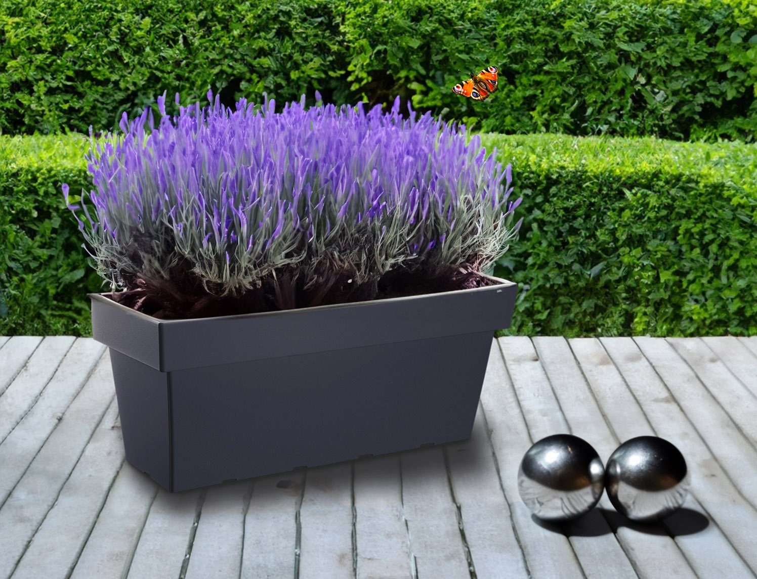 Spetebo Blumenkasten XXL Kunststoff Blumenkasten anthrazit 80 x 35 cm (Packung, 1 tlg), Pflanz Blumen Kübel
