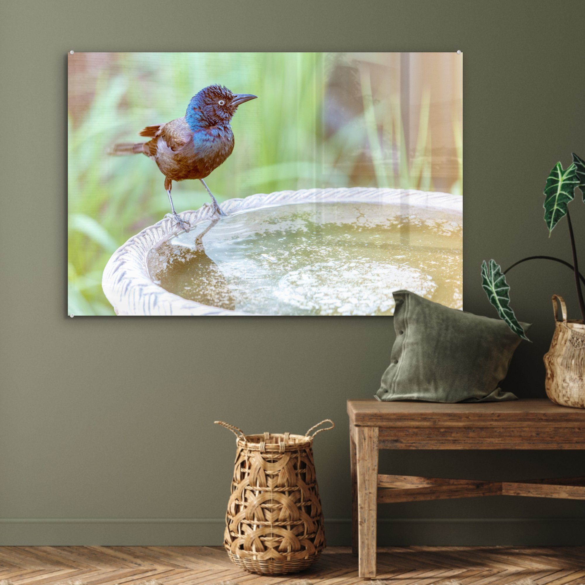 St), MuchoWow Wohnzimmer - (1 Acrylglasbild Vogeltränke Schlafzimmer Amsel - Acrylglasbilder & Wasser,