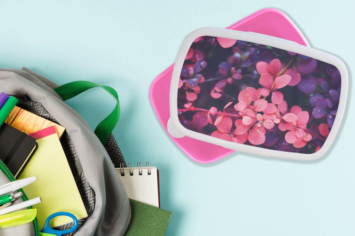 MuchoWow Lunchbox Blumen - Lila Brotdose (2-tlg), Erwachsene, für Natur, Snackbox, Brotbox Kunststoff, rosa Kunststoff Kinder, Mädchen, 