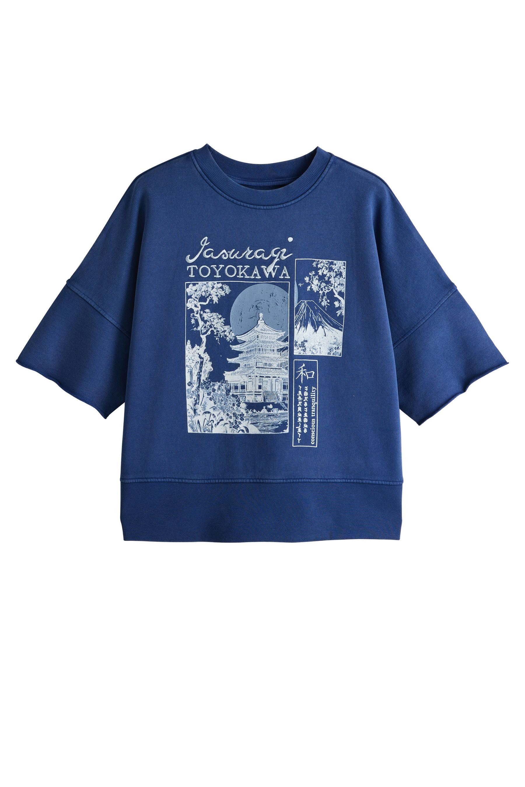 Next Sweater Kurzärmliges Sweatshirt und verwaschenem Print (1-tlg)