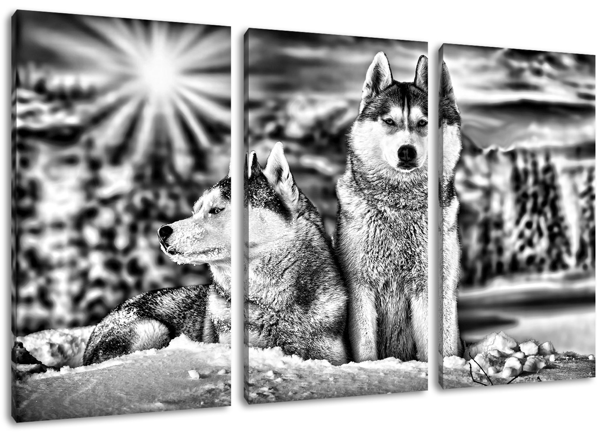 Pixxprint Leinwandbild Zwei wilde Huskies, Zwei wilde Huskies 3Teiler (120x80cm) (1 St), Leinwandbild fertig bespannt, inkl. Zackenaufhänger