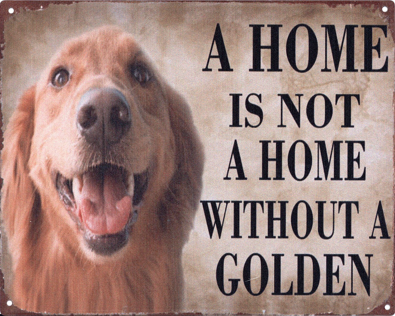 Metallschild Blechschild Golden Retriever Home