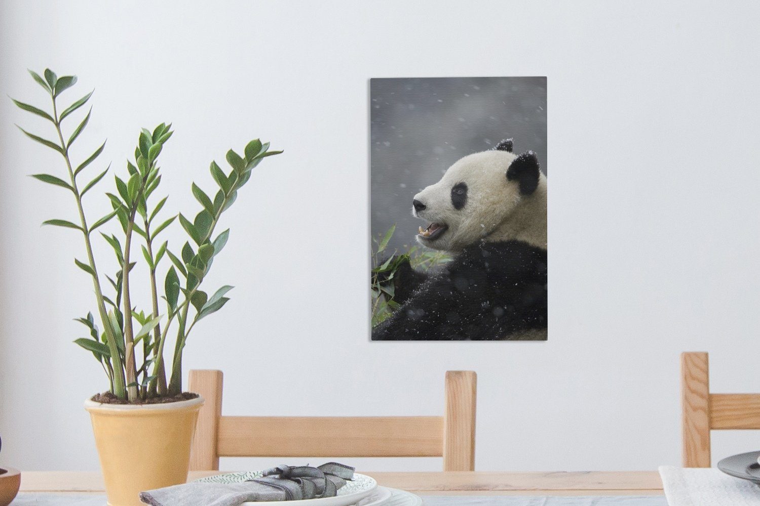 bespannt OneMillionCanvasses® Gemälde, Leinwandbild Panda - Leinwandbild fertig - inkl. 20x30 Schnee St), cm Zackenaufhänger, (1 Winter,