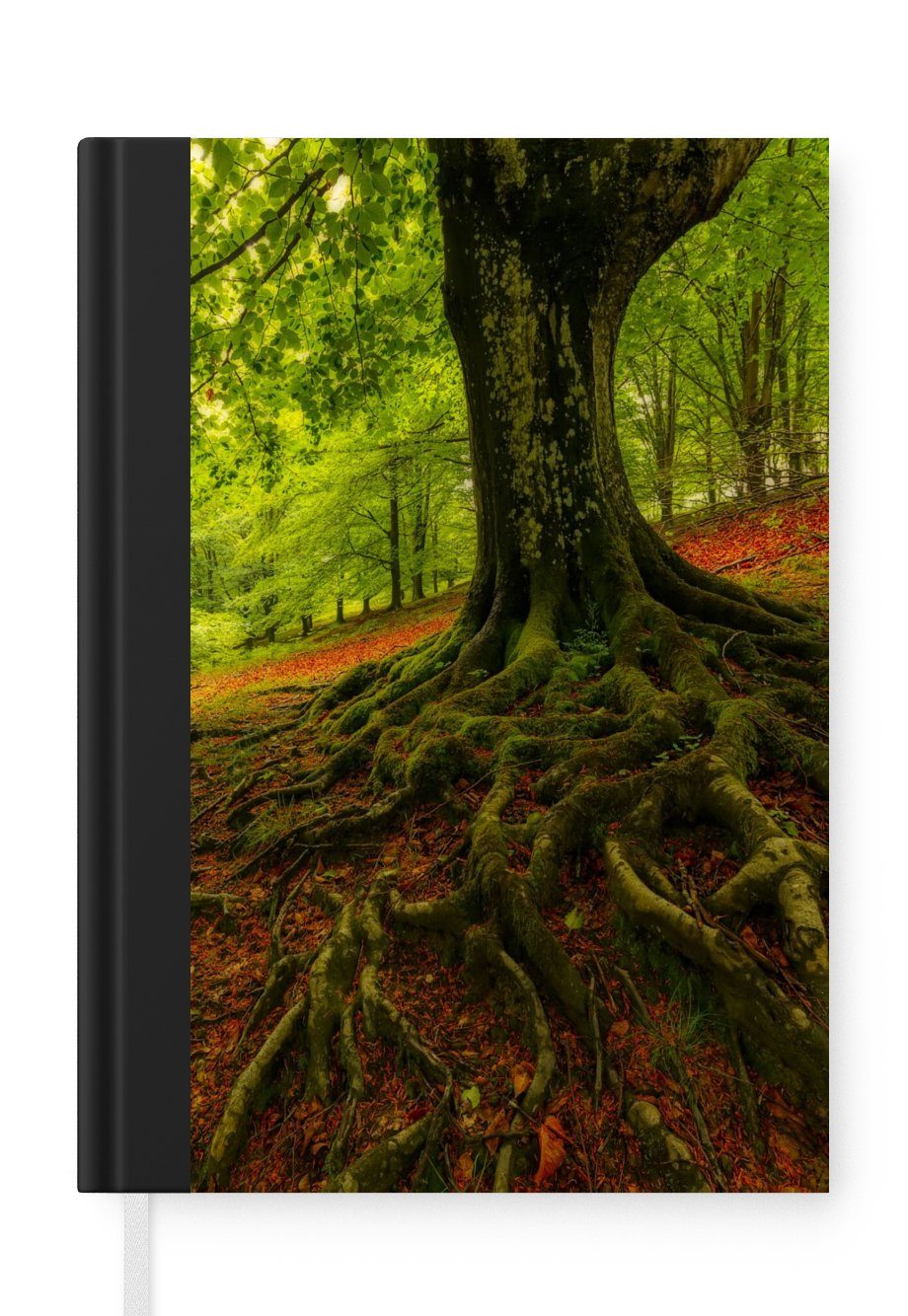 MuchoWow Notizbuch Baum - Wald Herbstblätter, Tagebuch, Haushaltsbuch Journal, A5, Seiten, Merkzettel, - 98 Notizheft
