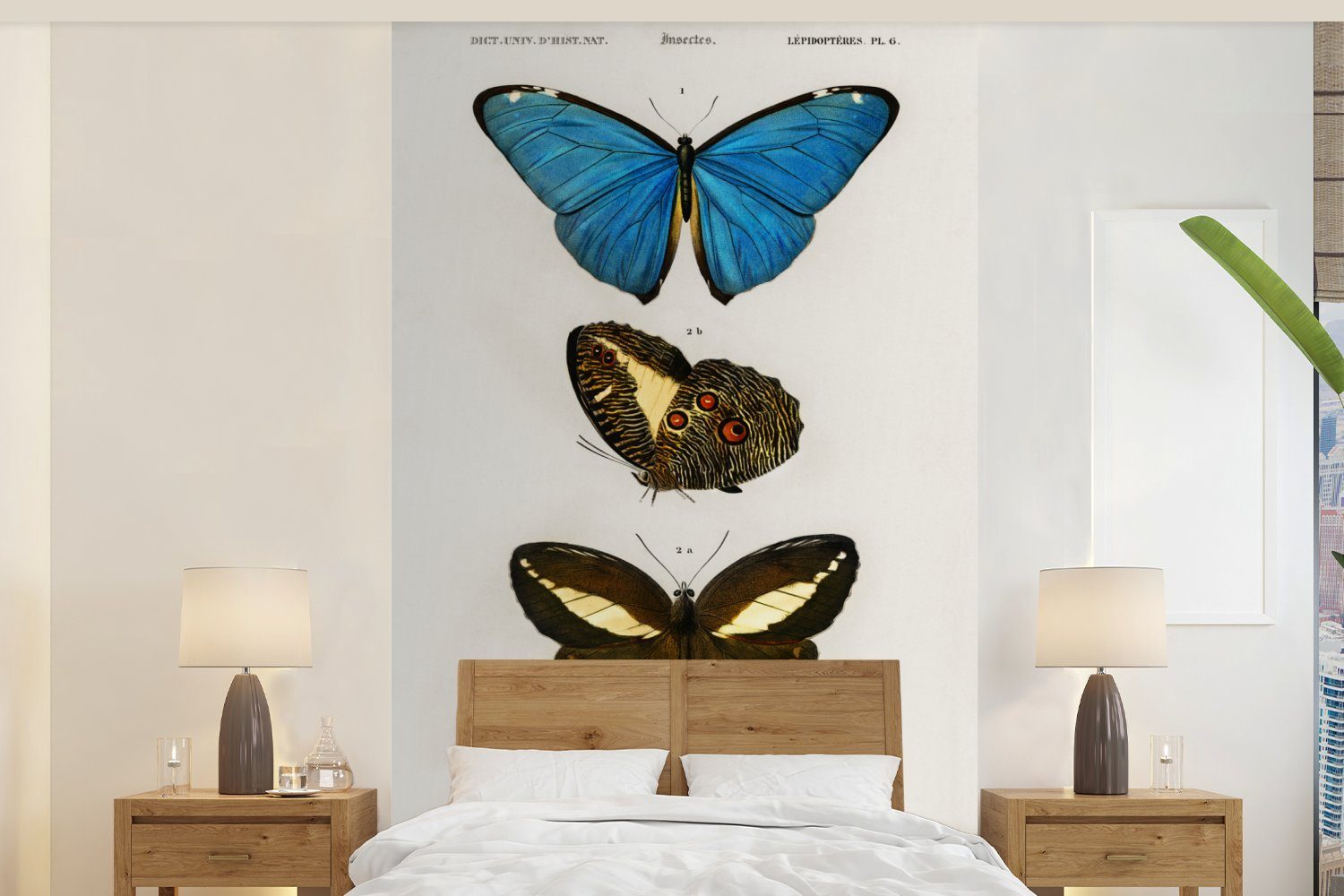 bedruckt, Tapete Kinderzimmer, für Insekten, Wallpaper (3 Vinyl - Vintage MuchoWow Matt, - Schlafzimmer, Schmetterling Fototapete St), Wohnzimmer,