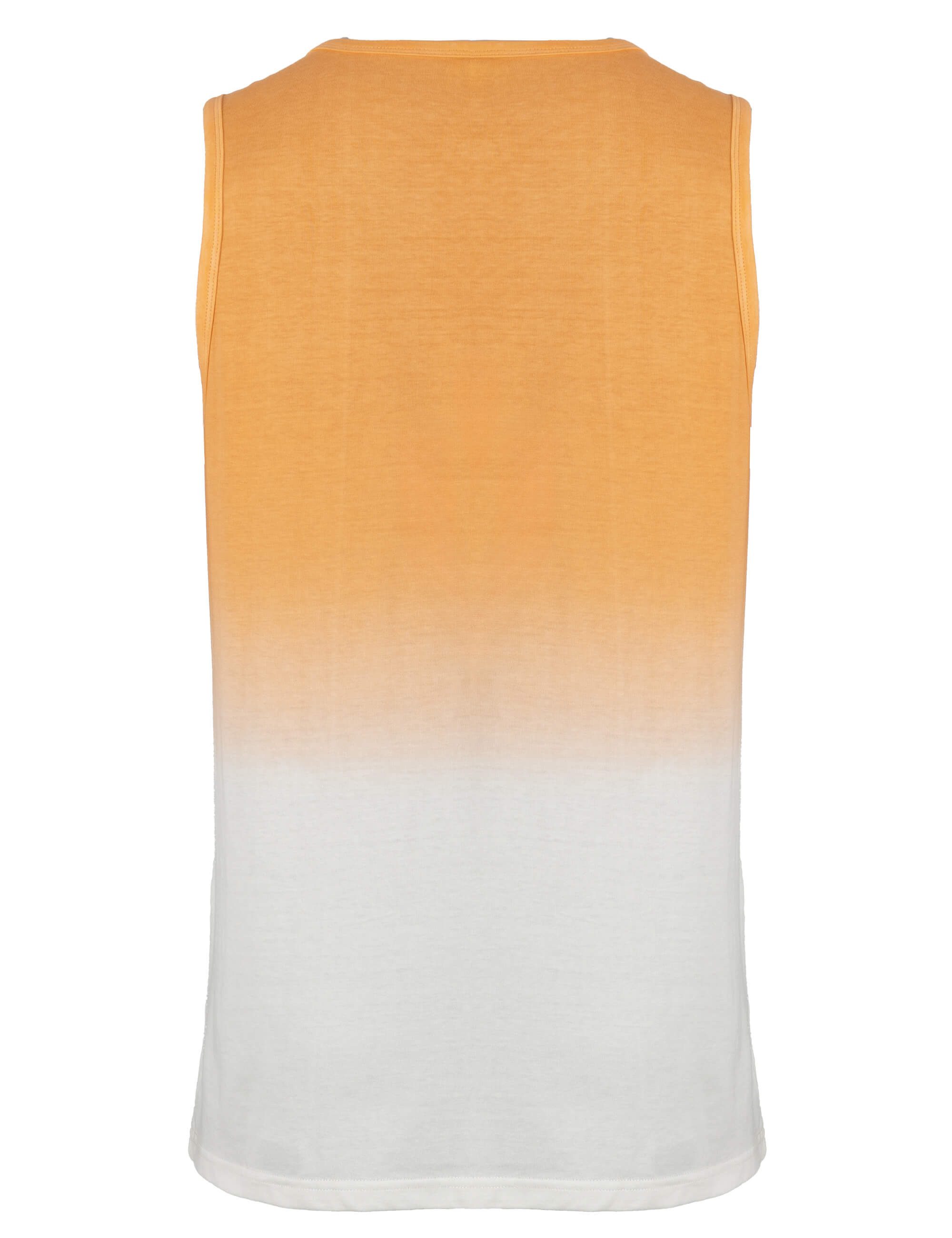 ROADSIGN australia T-Shirt Seal Rocks (1, 1-tlg., 1) Dip Dye Farbverlauf mit Print, lässiger Look für Festivals