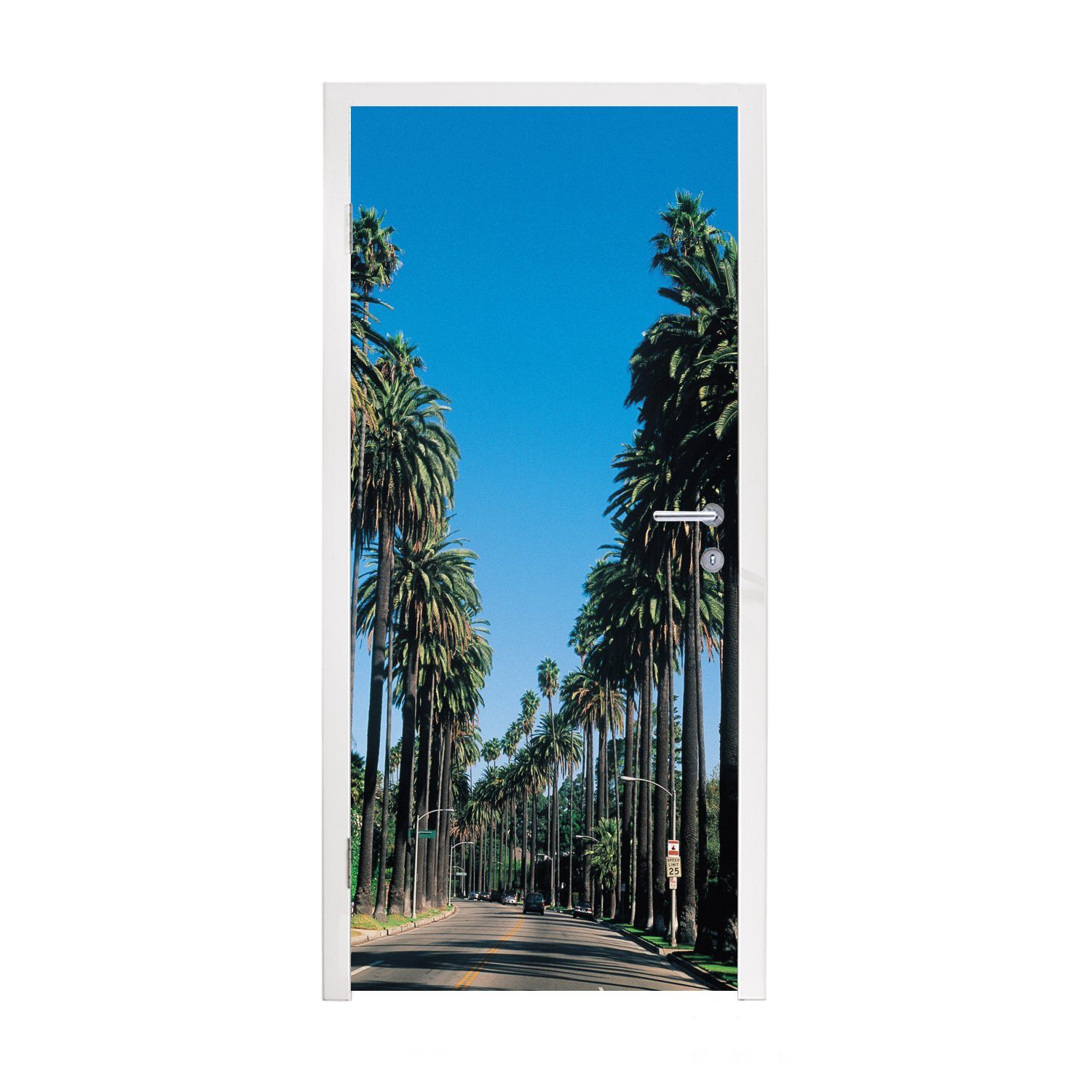 MuchoWow Türtapete Die Reihen der niedrigen Palmen entlang der Straße, Matt, bedruckt, (1 St), Fototapete für Tür, Türaufkleber, 75x205 cm