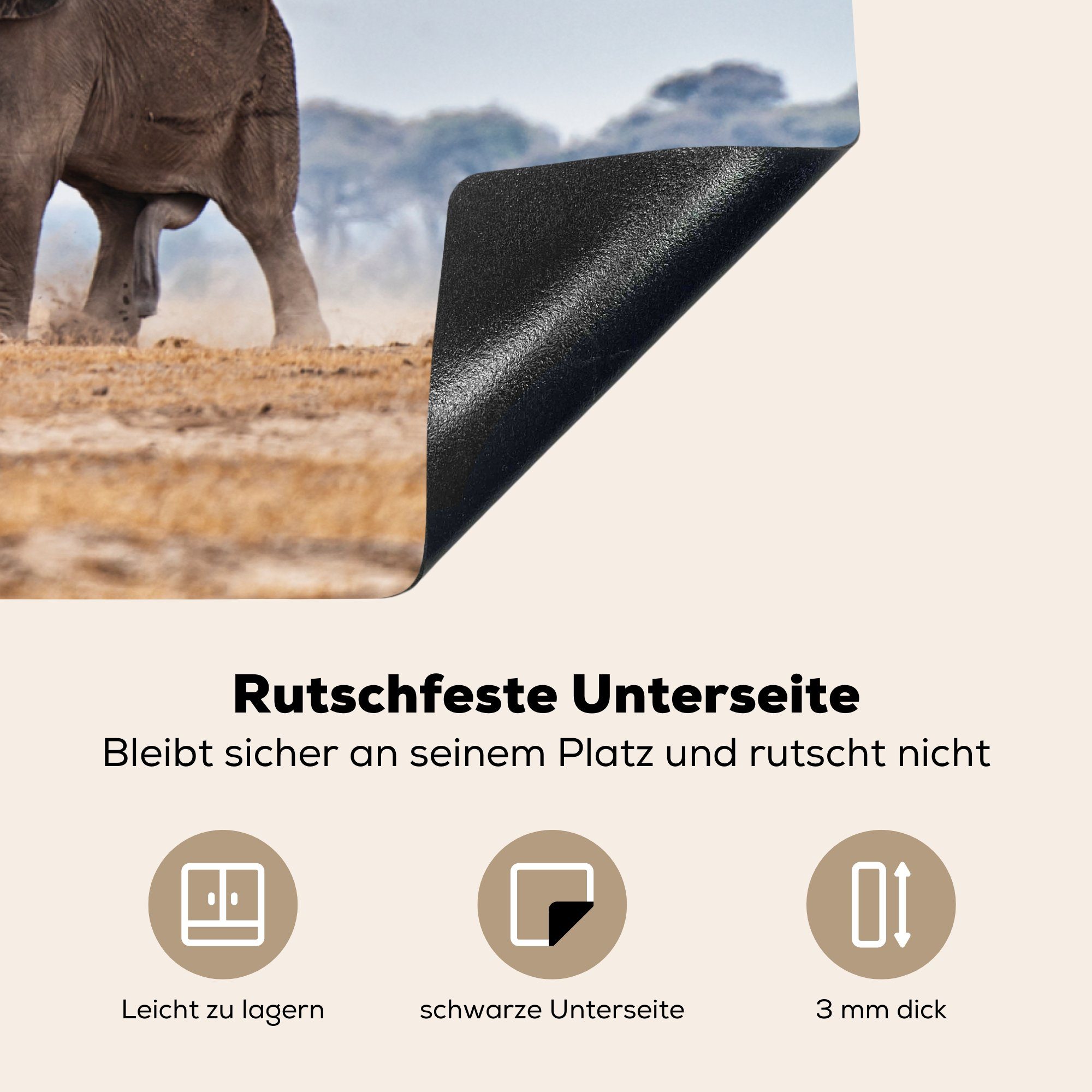 Flachland (1 tlg), cm, Herdblende-/Abdeckplatte küche, - MuchoWow für Schutz Induktionskochfeld Tiere Elefant Ceranfeldabdeckung - die Natur, 81x52 - Vinyl,