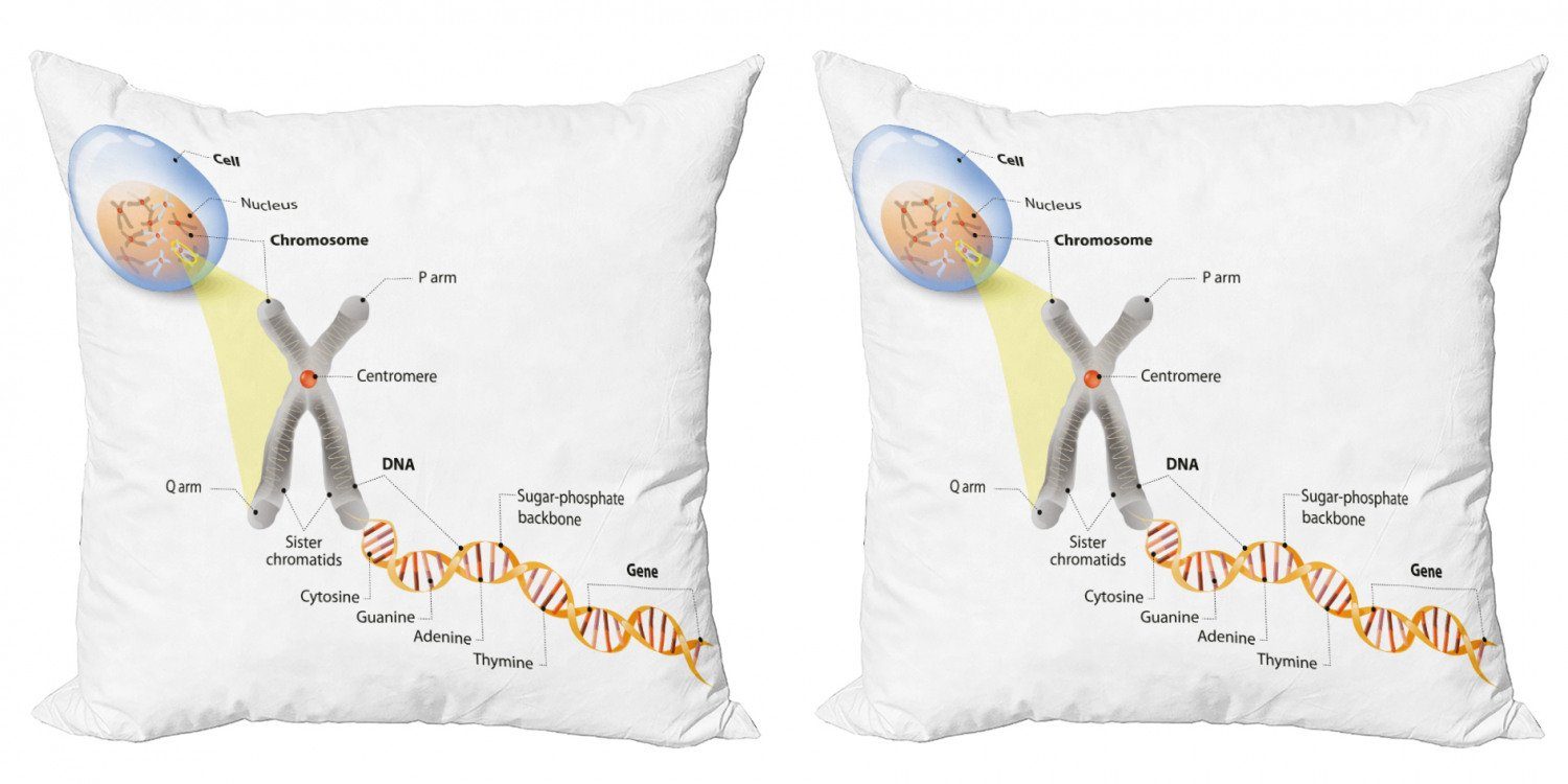 Kissenbezüge Modern Accent Doppelseitiger DNA Lehrreich (2 Abakuhaus Stück), Gene Genom Digitaldruck