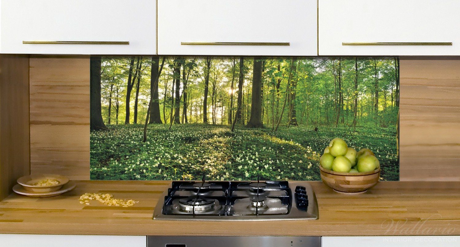 im Küchenrückwand (1-tlg) Wald, Wallario und Waldanemonen Sonnenstrahlen