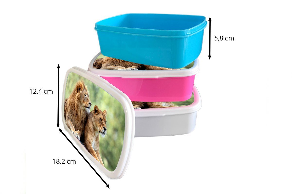 Jungs Lunchbox für und weiß Liebe, Kinder (2-tlg), Kunststoff, - für Brotdose, Erwachsene, - und Wildtiere Mädchen MuchoWow Natur Brotbox