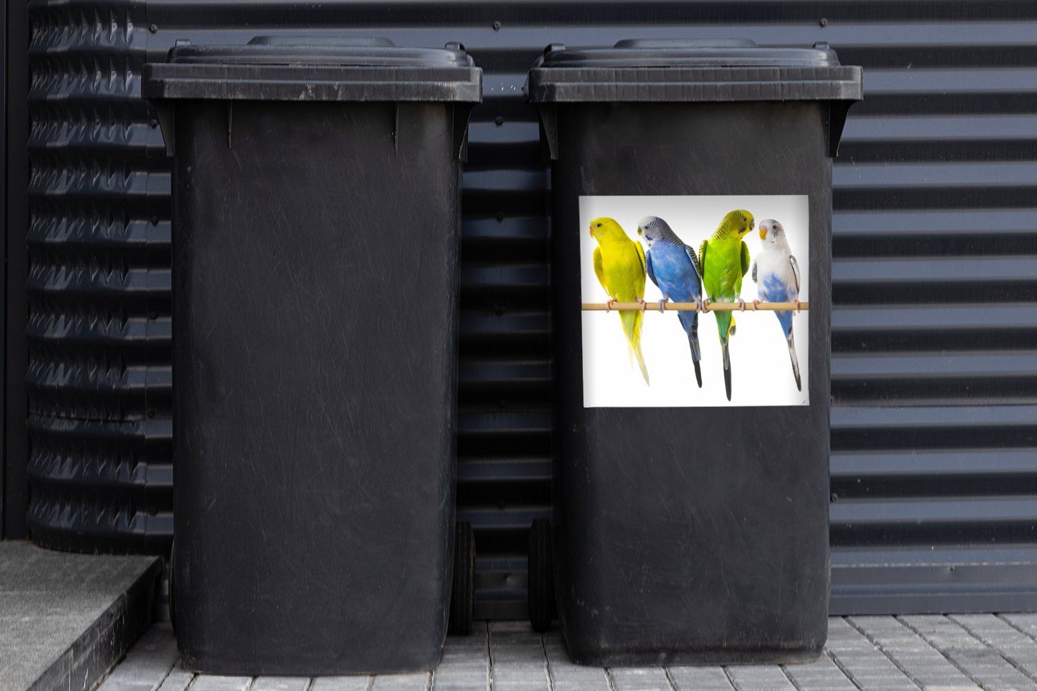 MuchoWow Wandsticker Gruppe auf St), Mülltonne, Abfalbehälter Container, (1 Sittichen einem Stock Mülleimer-aufkleber, Sticker, von
