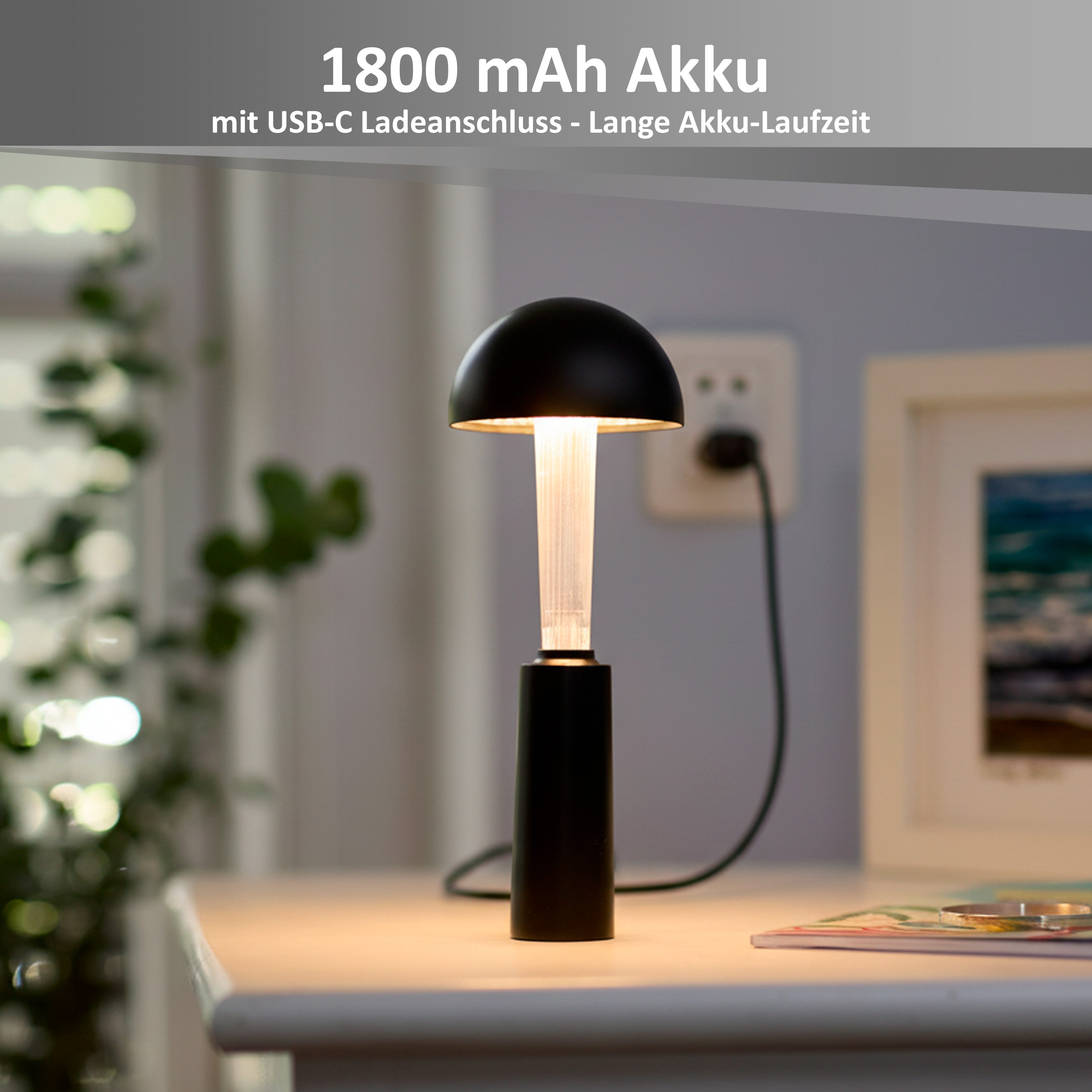 Northpoint LED Pendelleuchte LED Akku Pendelleuchte 2in1 Tischleuchte Touch Dimmbar