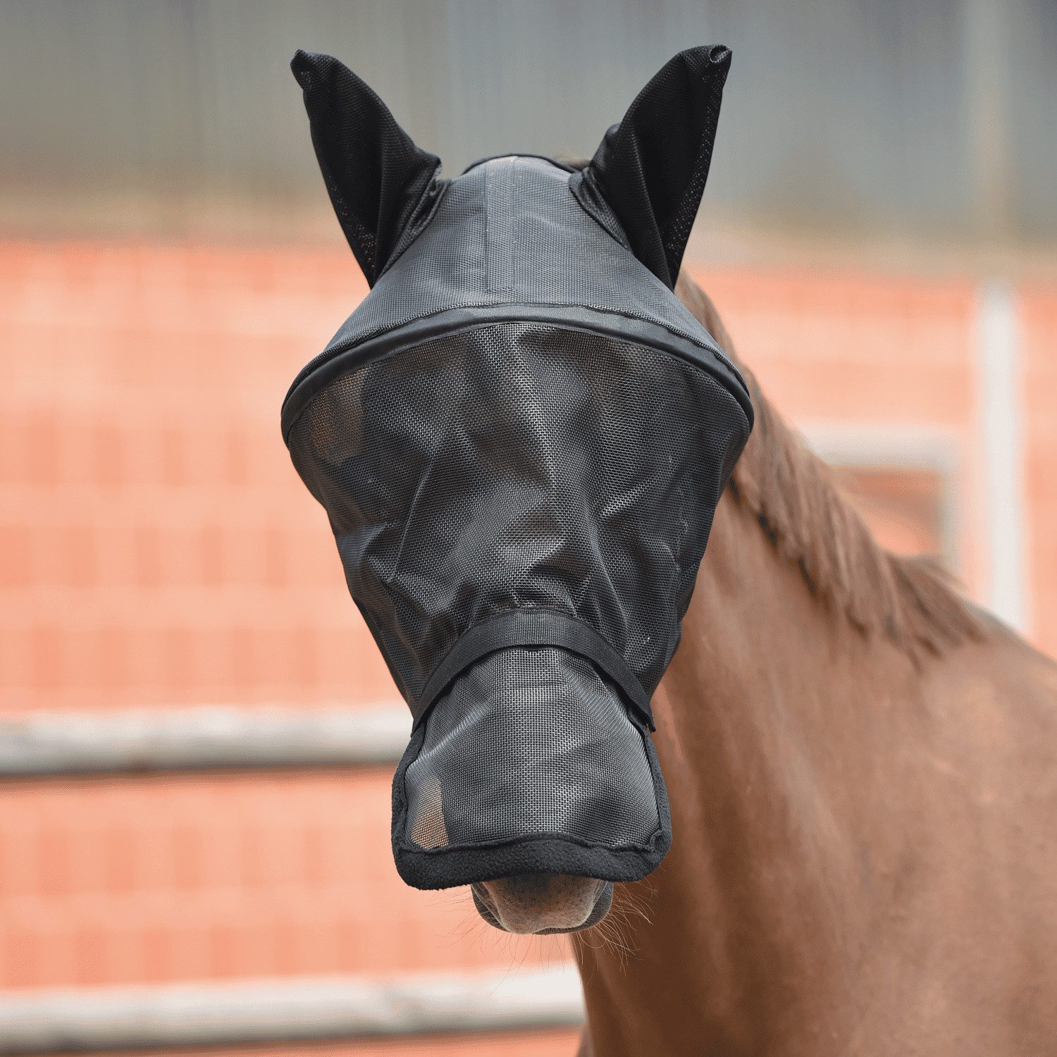 BUSSE Fliegenmasken Fliegenmaske Fly Professional