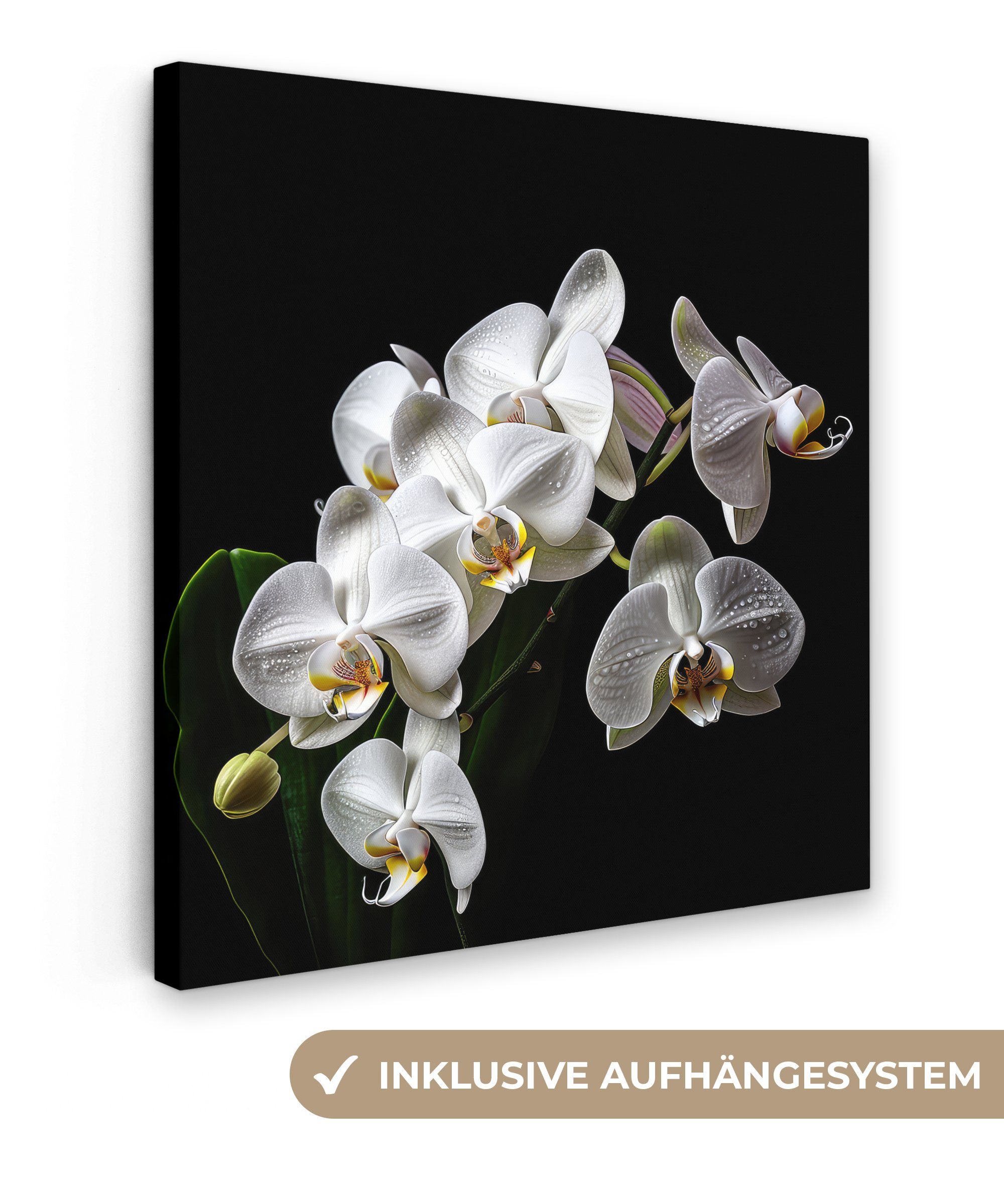 OneMillionCanvasses® Leinwandbild Orchidee - Blumen - Weiß - Natur - Schwarz, (1 St), Leinwand Bilder für Wohnzimmer Schlafzimmer, 20x20 cm | Leinwandbilder