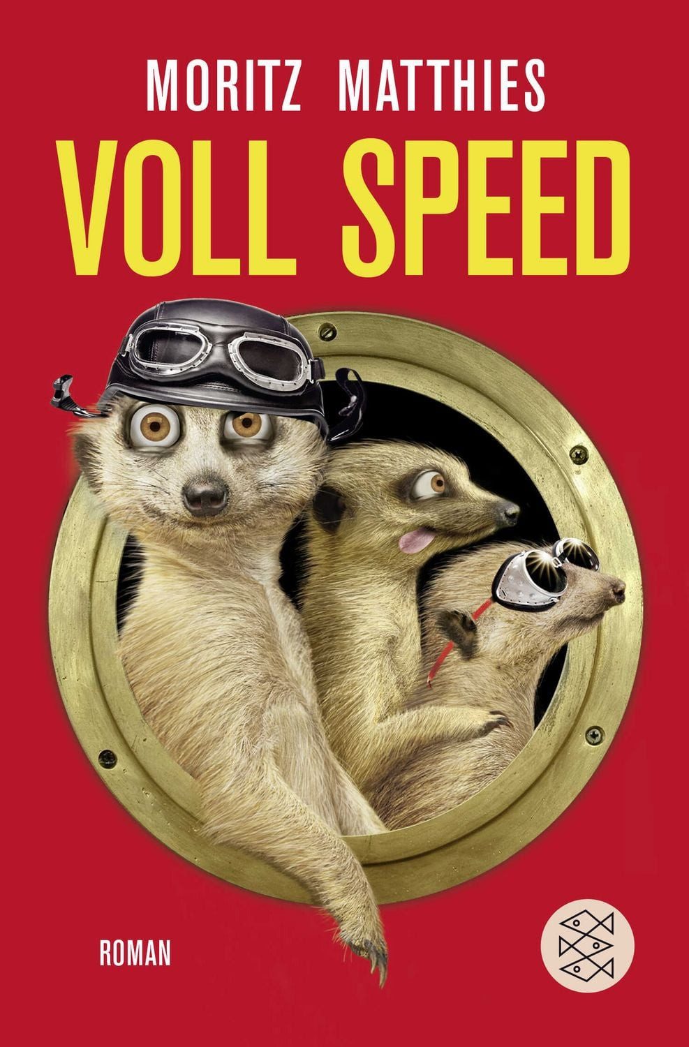 Voll Speed / Ray & Rufus Bd. 2 / Moritz Matthies, Roman