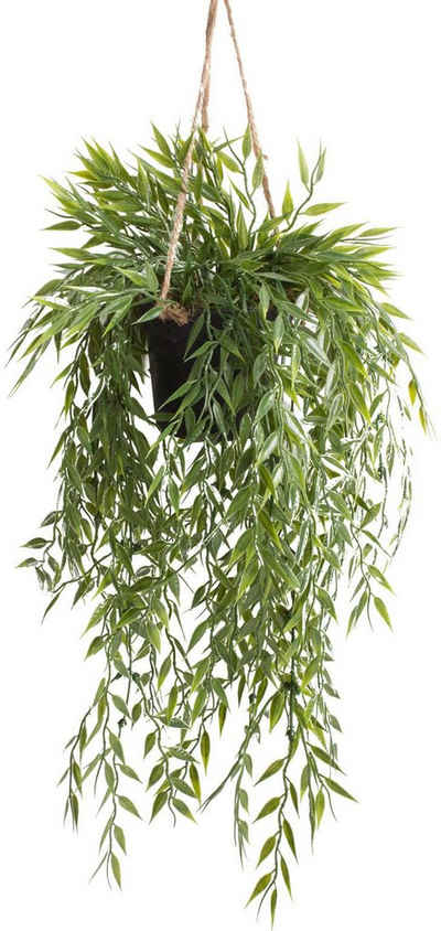 Künstliche Zimmerpflanze Bambus-Hängeampel Bambus, Botanic-Haus, Höhe 50 cm