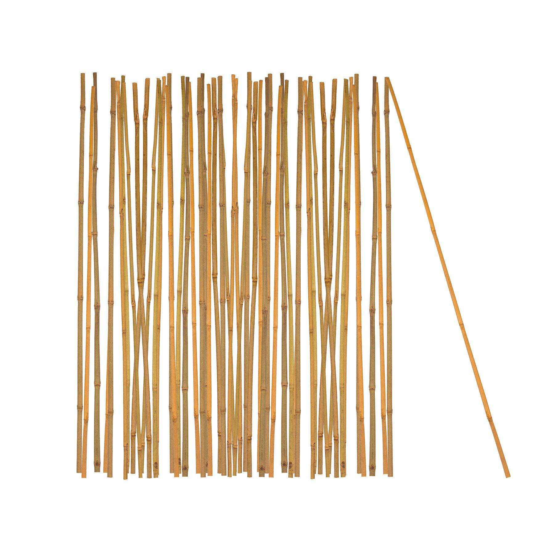 BigDean Ranksäule Pflanzstab Bambusstab 100% Naturprodukt Set, 50 St., Bambusstäbe, 100% Natur, Drinnen & Draußen geeignegt.