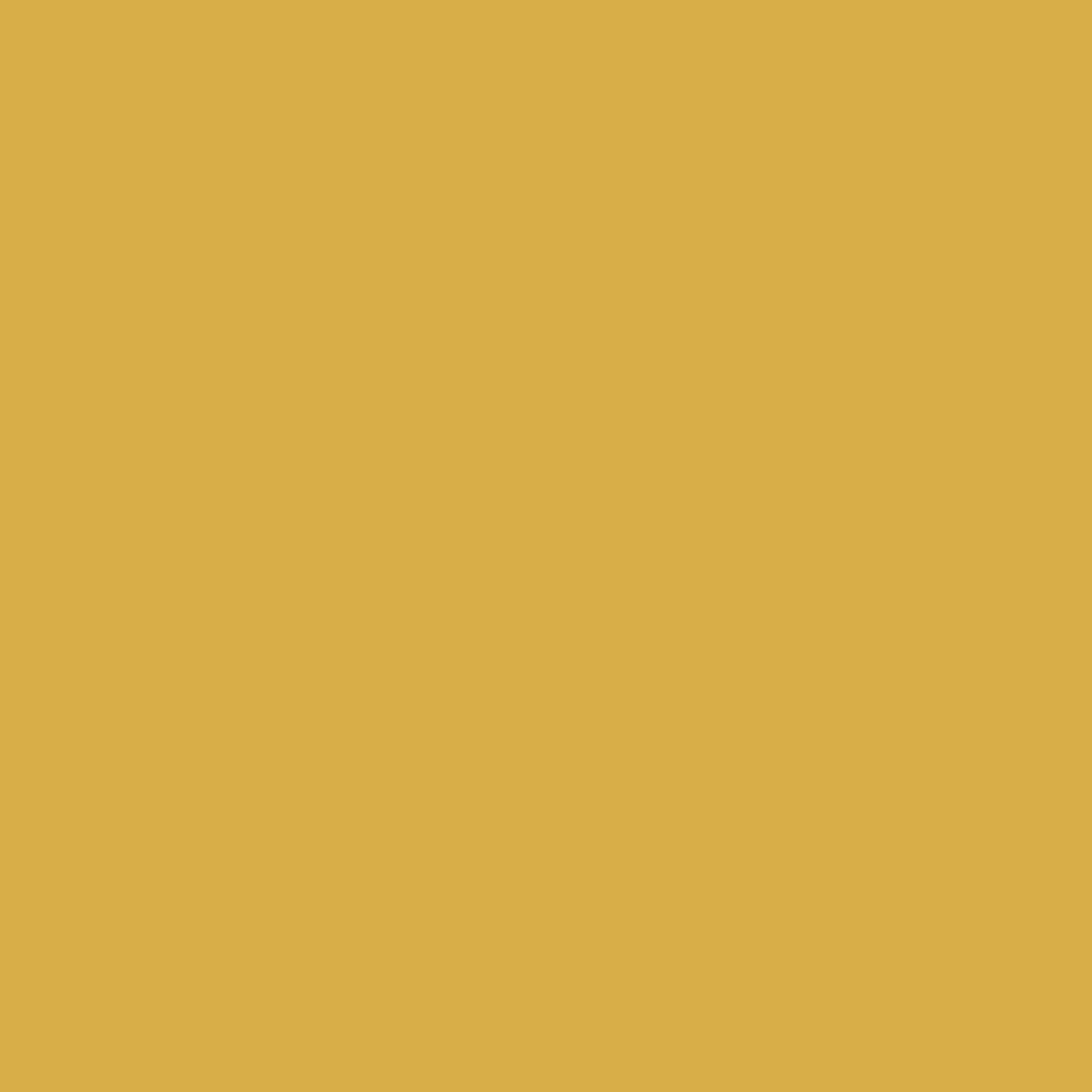 loft24 Beistellschrank Franklin Breite 2 Schubladen, cm 56 gelb Beistelltisch, Nachttisch