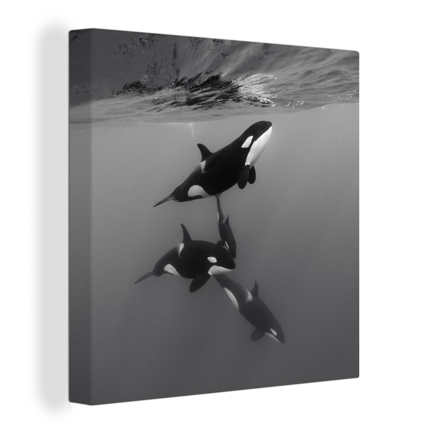 OneMillionCanvasses® Leinwandbild Orca - Wasser - Schwarz - Weiß, (1 St), Leinwand Bilder für Wohnzimmer Schlafzimmer