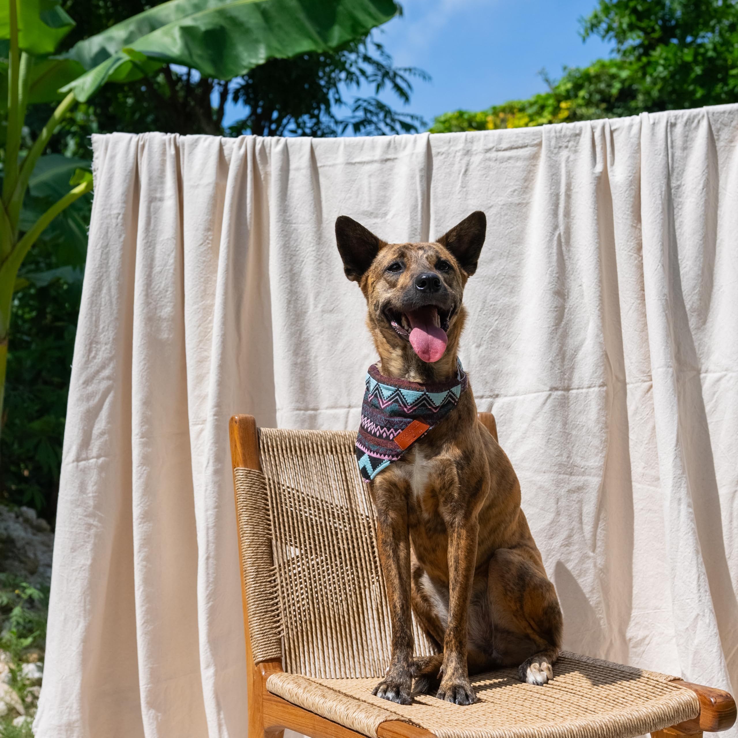 Made by Nami Hunde-Halsband Boho Hundehalstuch in verschiedenen Größen, für kleine und große Hunde (Lila oder Blau)